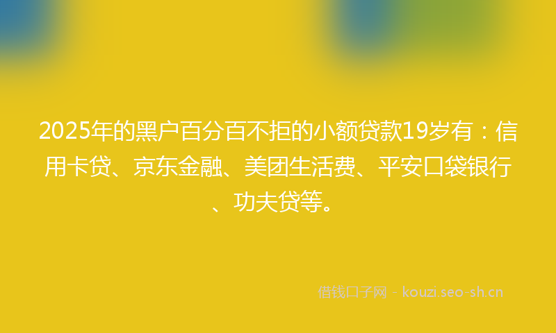 2025年的黑户百分百不拒的小额贷款19岁有：信用卡贷、京东金融、美团生活费、平安口袋银行、功夫贷等。