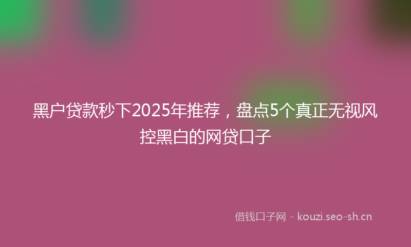黑户贷款秒下2025年推荐，盘点5个真正无视风控黑白的网贷口子