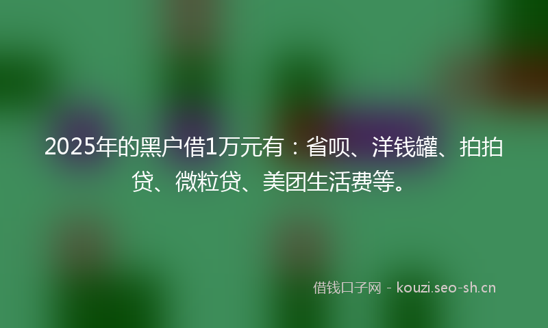 2025年的黑户借1万元有:省呗、洋钱罐、拍拍贷、微粒贷、美团生活费等。