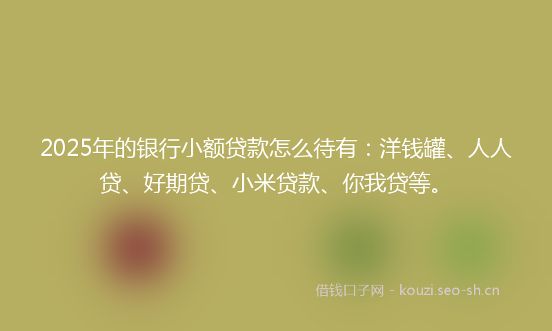 2025年的银行小额贷款怎么待有：洋钱罐、人人贷、好期贷、小米贷款、你我贷等。