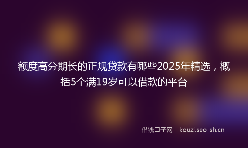 额度高分期长的正规贷款有哪些2025年精选，概括5个满19岁可以借款的平台