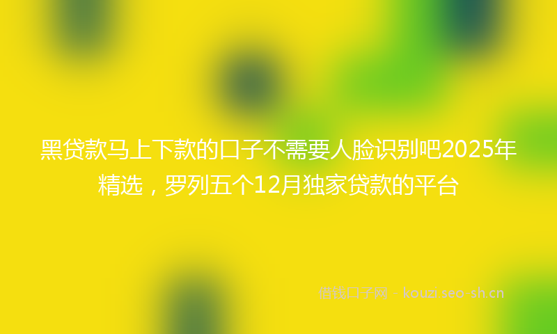 黑贷款马上下款的口子不需要人脸识别吧2025年精选，罗列五个12月独家贷款的平台