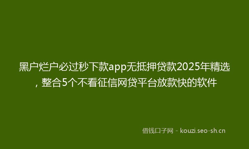 黑户烂户必过秒下款app无抵押贷款2025年精选，整合5个不看征信网贷平台放款快的软件