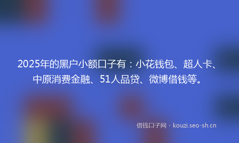 2025年的黑户小额口子有:小花钱包、超人卡、中原消费金融、51人品贷、微博借钱等。