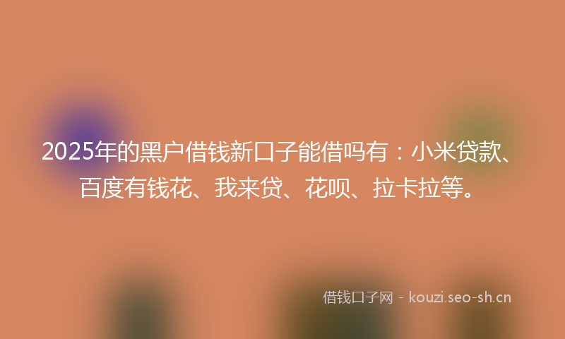 2025年的黑户借钱新口子能借吗有：小米贷款、百度有钱花、我来贷、花呗、拉卡拉等。