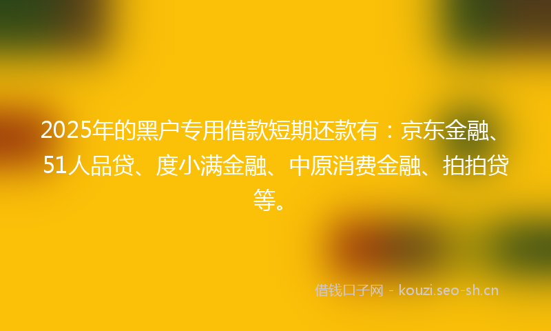 2025年的黑户专用借款短期还款有：京东金融、51人品贷、度小满金融、中原消费金融、拍拍贷等。