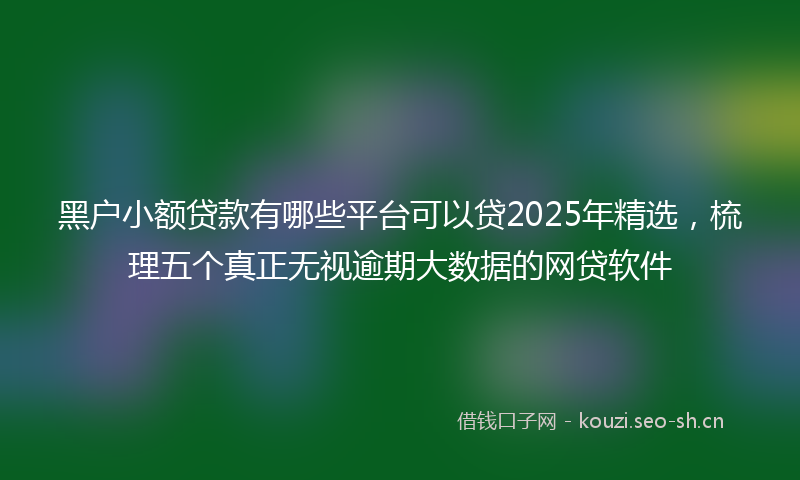 黑户小额贷款有哪些平台可以贷2025年精选，梳理五个真正无视逾期大数据的网贷软件