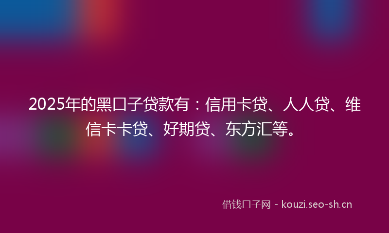 2025年的黑口子贷款有：信用卡贷、人人贷、维信卡卡贷、好期贷、东方汇等。