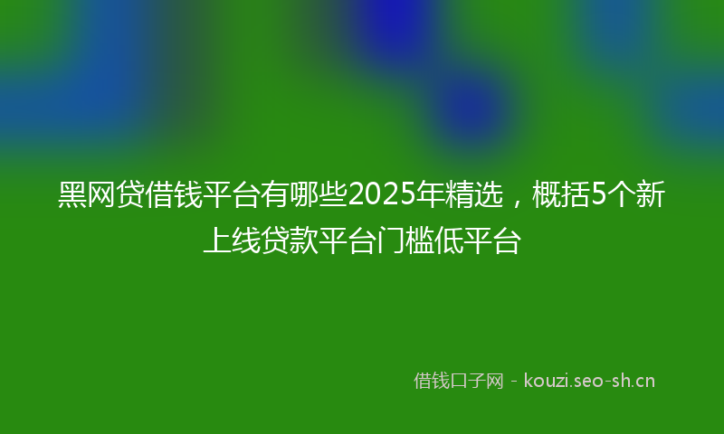 黑网贷借钱平台有哪些2025年精选，概括5个新上线贷款平台门槛低平台