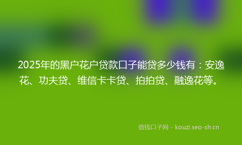 2025年的黑户花户贷款口子能贷多少钱有：安逸花、功夫贷、维信卡卡贷、拍拍贷、融逸花等。