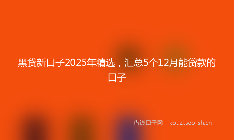 黑贷新口子2025年精选，汇总5个12月能贷款的口子