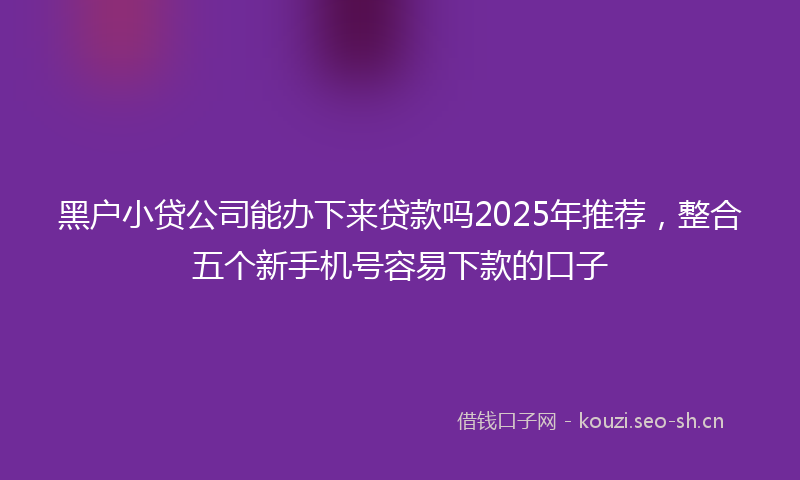 黑户小贷公司能办下来贷款吗2025年推荐,整合五个新手机号容易下款的口子
