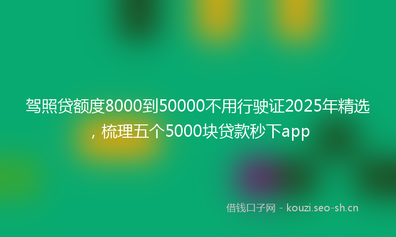 驾照贷额度8000到50000不用行驶证2025年精选，梳理五个5000块贷款秒下app