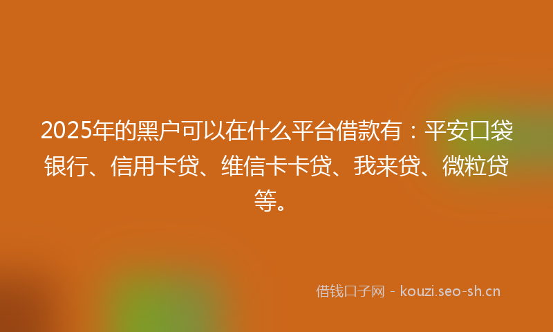 2025年的黑户可以在什么平台借款有：平安口袋银行、信用卡贷、维信卡卡贷、我来贷、微粒贷等。