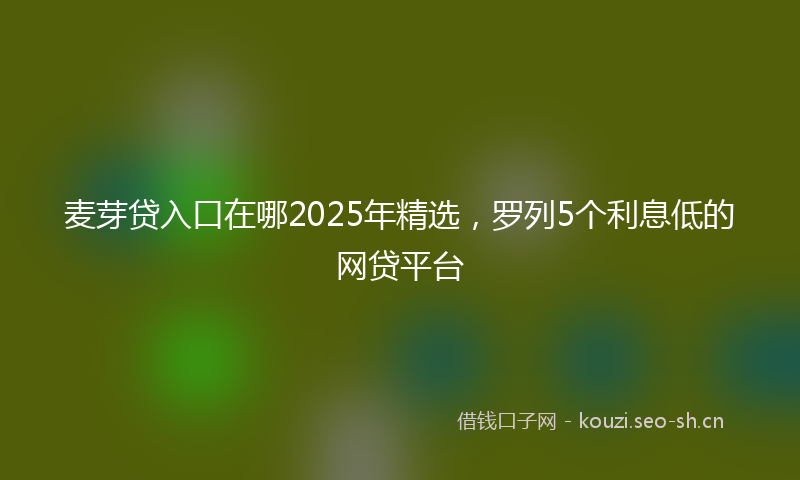 麦芽贷入口在哪2025年精选，罗列5个利息低的网贷平台