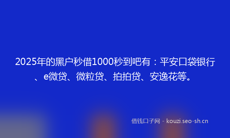 2025年的黑户秒借1000秒到吧有：平安口袋银行、e微贷、微粒贷、拍拍贷、安逸花等。