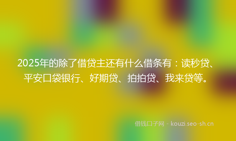 2025年的除了借贷主还有什么借条有：读秒贷、平安口袋银行、好期贷、拍拍贷、我来贷等。