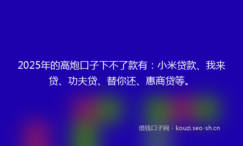 2025年的高炮口子下不了款有：小米贷款、我来贷、功夫贷、替你还、惠商贷等。