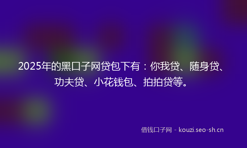 2025年的黑口子网贷包下有：你我贷、随身贷、功夫贷、小花钱包、拍拍贷等。