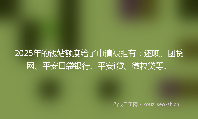 2025年的钱站额度给了申请被拒有:还呗、团贷网、平安口袋银行、平安i贷、微粒贷等。