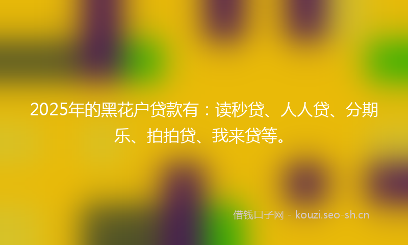 2025年的黑花户贷款有：读秒贷、人人贷、分期乐、拍拍贷、我来贷等。