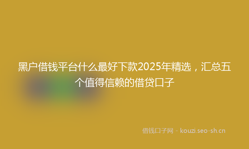 黑户借钱平台什么最好下款2025年精选，汇总五个值得信赖的借贷口子