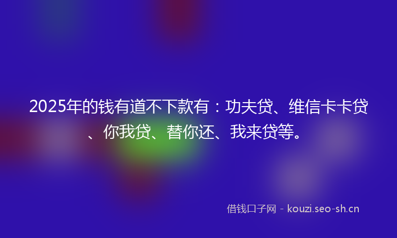 2025年的钱有道不下款有：功夫贷、维信卡卡贷、你我贷、替你还、我来贷等。