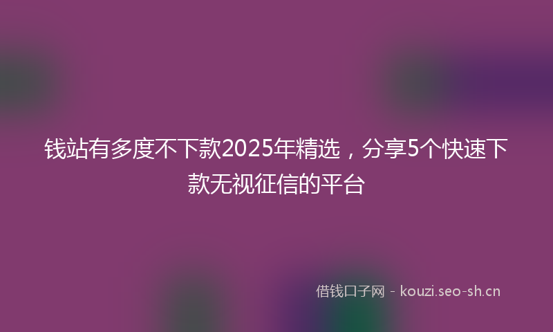钱站有多度不下款2025年精选，分享5个快速下款无视征信的平台