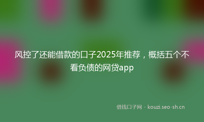 风控了还能借款的口子2025年推荐，概括五个不看负债的网贷app