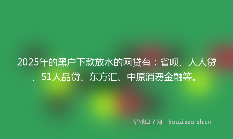 2025年的黑户下款放水的网贷有:省呗、人人贷、51人品贷、东方汇、中原消费金融等。