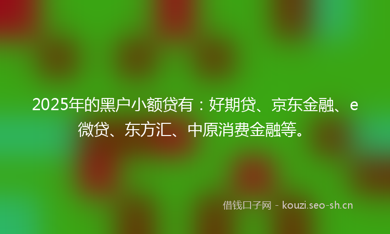2025年的黑户小额贷有：好期贷、京东金融、e微贷、东方汇、中原消费金融等。