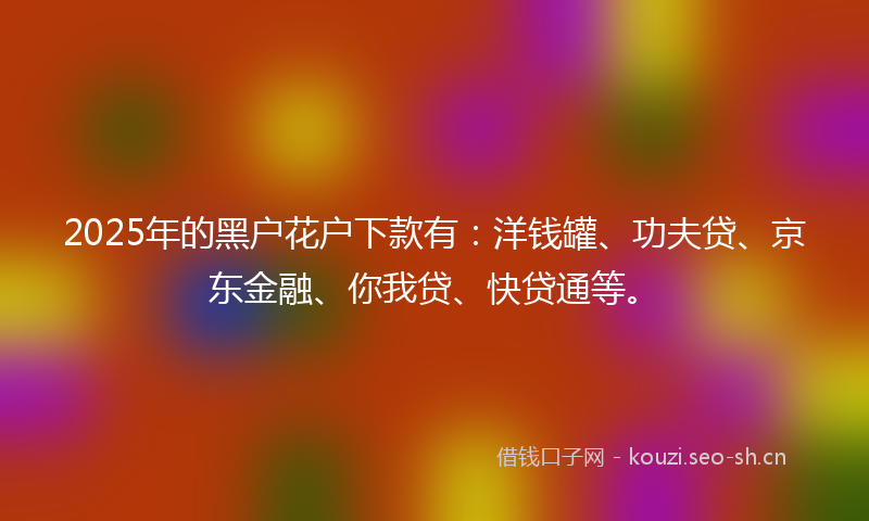 2025年的黑户花户下款有：洋钱罐、功夫贷、京东金融、你我贷、快贷通等。