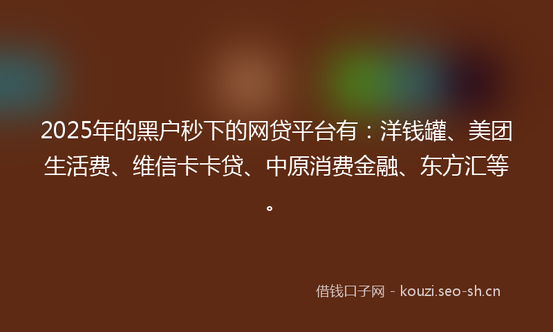 2025年的黑户秒下的网贷平台有：洋钱罐、美团生活费、维信卡卡贷、中原消费金融、东方汇等。