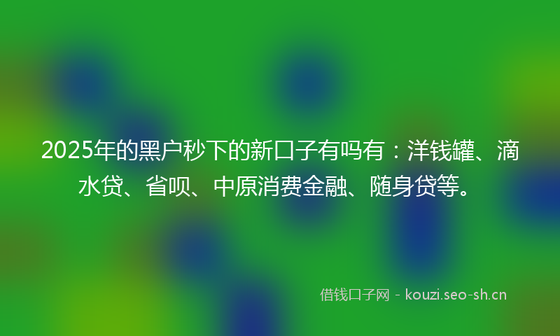 2025年的黑户秒下的新口子有吗有:洋钱罐、滴水贷、省呗、中原消费金融、随身贷等。