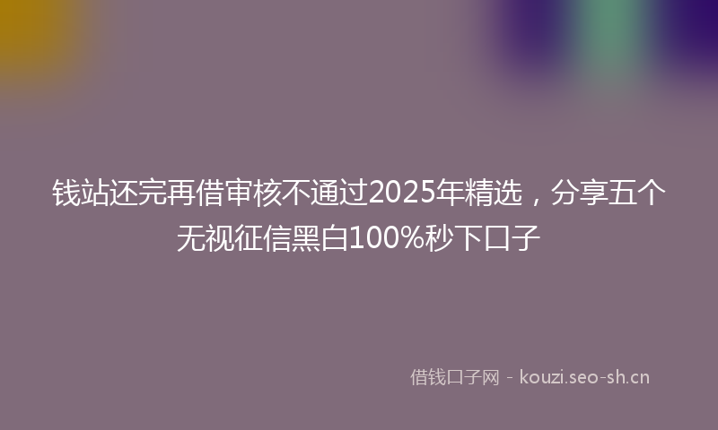 钱站还完再借审核不通过2025年精选，分享五个无视征信黑白100%秒下口子