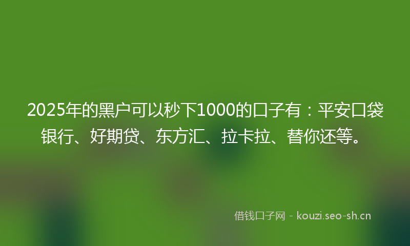 2025年的黑户可以秒下1000的口子有：平安口袋银行、好期贷、东方汇、拉卡拉、替你还等。