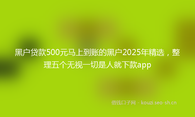 黑户贷款500元马上到账的黑户2025年精选，整理五个无视一切是人就下款app