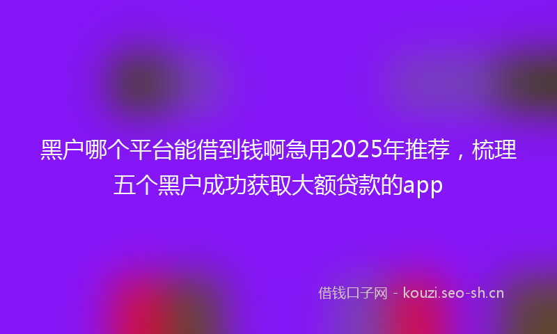 黑户哪个平台能借到钱啊急用2025年推荐,梳理五个黑户成功获取大额贷款的app