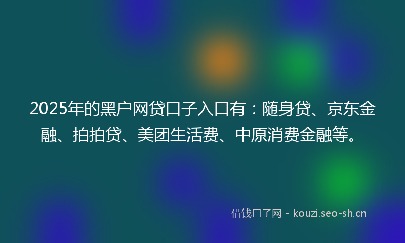 2025年的黑户网贷口子入口有：随身贷、京东金融、拍拍贷、美团生活费、中原消费金融等。