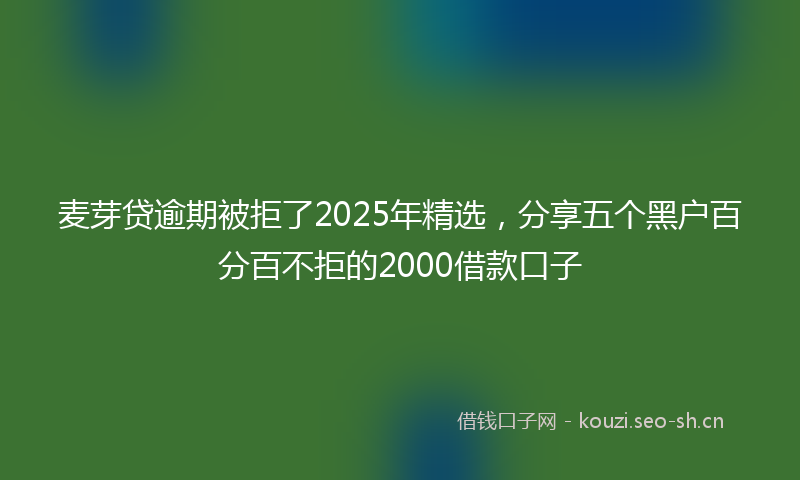 麦芽贷逾期被拒了2025年精选，分享五个黑户百分百不拒的2000借款口子