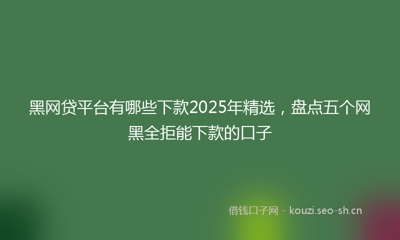黑网贷平台有哪些下款2025年精选，盘点五个网黑全拒能下款的口子
