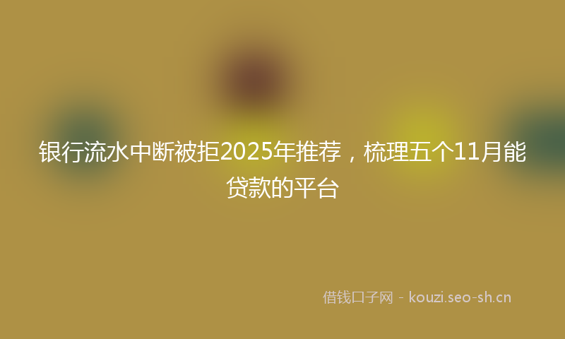 银行流水中断被拒2025年推荐,梳理五个11月能贷款的平台
