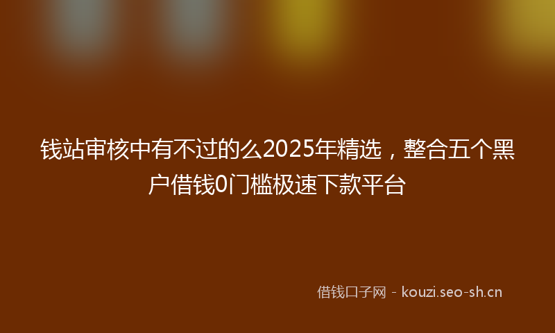 钱站审核中有不过的么2025年精选，整合五个黑户借钱0门槛极速下款平台