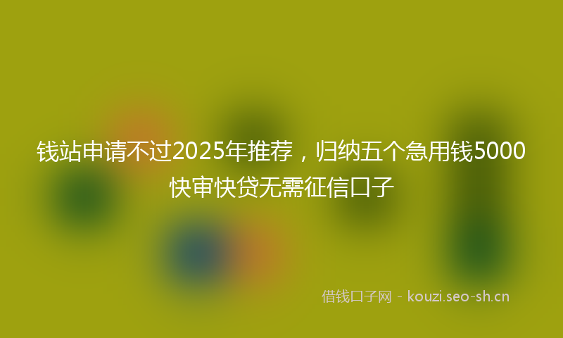 钱站申请不过2025年推荐,归纳五个急用钱5000快审快贷无需征信口子