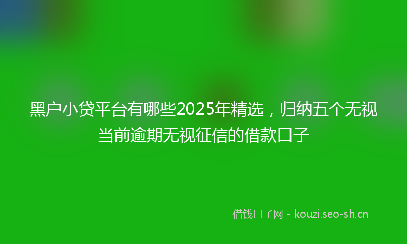 黑户小贷平台有哪些2025年精选，归纳五个无视当前逾期无视征信的借款口子