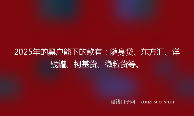 2025年的黑户能下的款有：随身贷、东方汇、洋钱罐、柯基贷、微粒贷等。