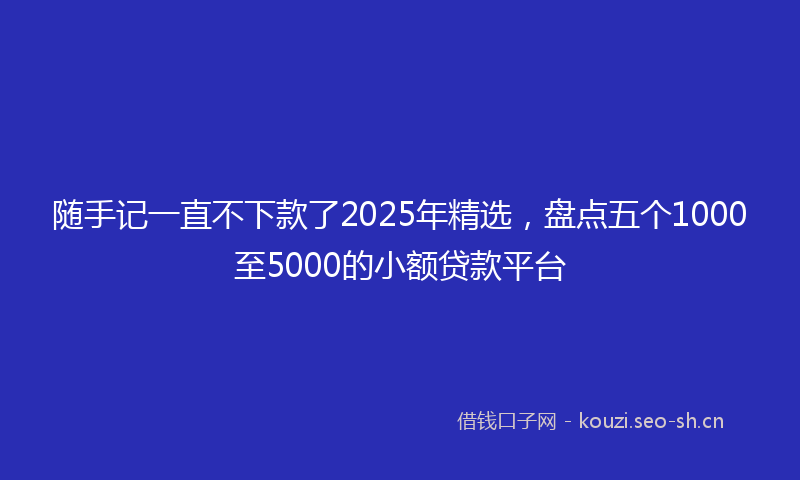 随手记一直不下款了2025年精选，盘点五个1000至5000的小额贷款平台