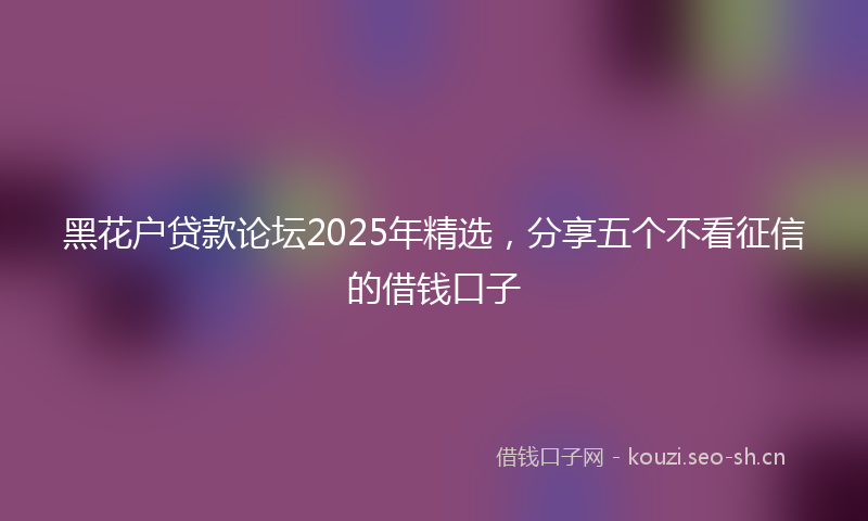黑花户贷款论坛2025年精选，分享五个不看征信的借钱口子