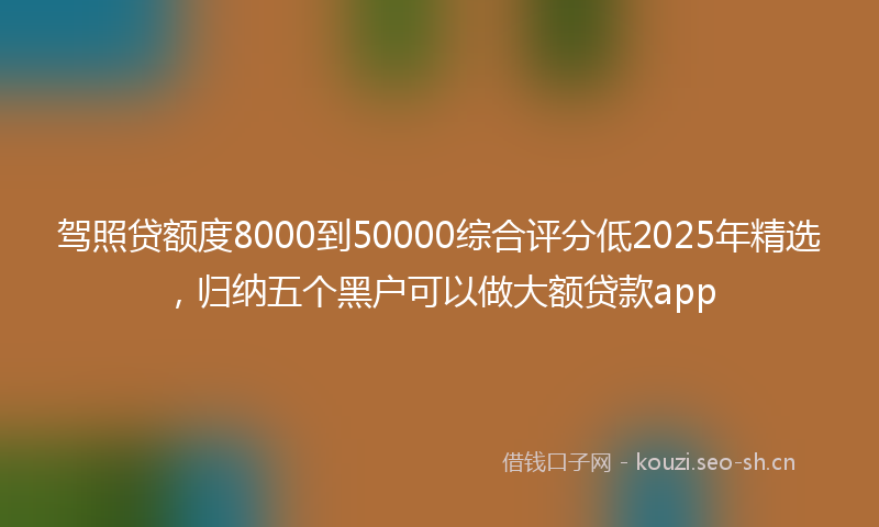 驾照贷额度8000到50000综合评分低2025年精选，归纳五个黑户可以做大额贷款app