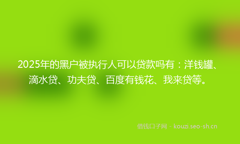 2025年的黑户被执行人可以贷款吗有：洋钱罐、滴水贷、功夫贷、百度有钱花、我来贷等。